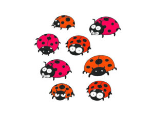 Asian Lady Beetles