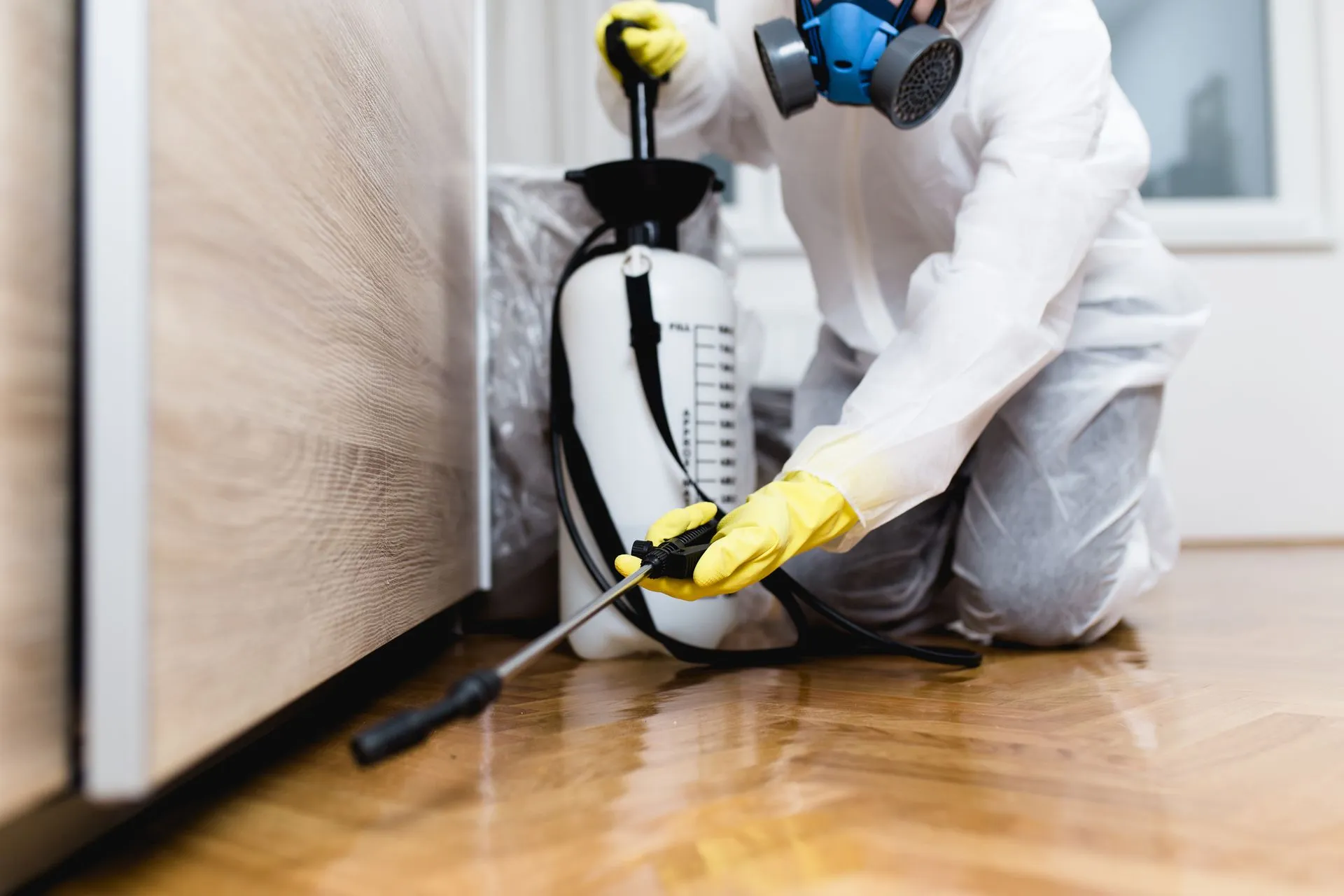 Pest Control in DeKalb, IL | Expert Local Exterminators
